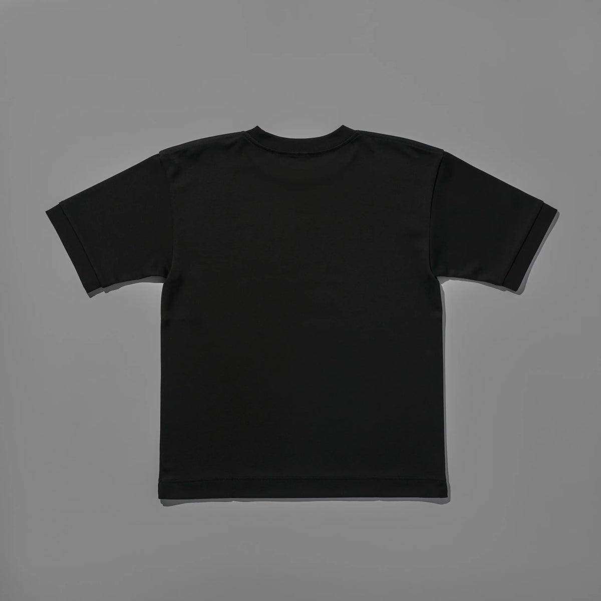 HIMARAYA LION HL-003 Tee