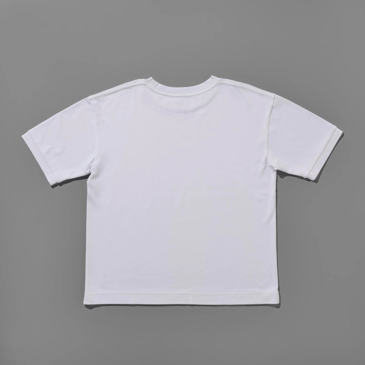 HIMARAYA LION HL-003 Tee